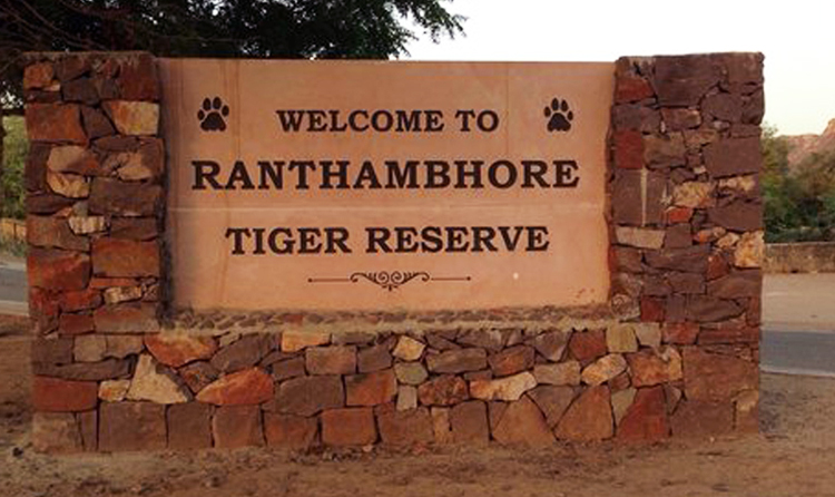 Jaipur Ranthambore 3 Days Tour