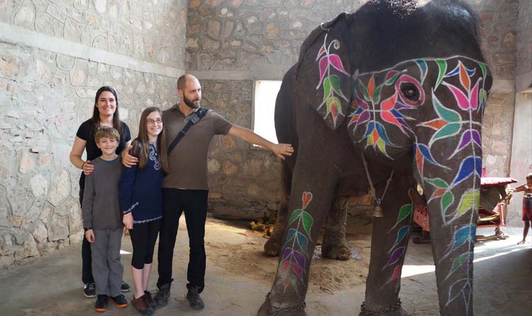 Elephant Activities In Jaipur