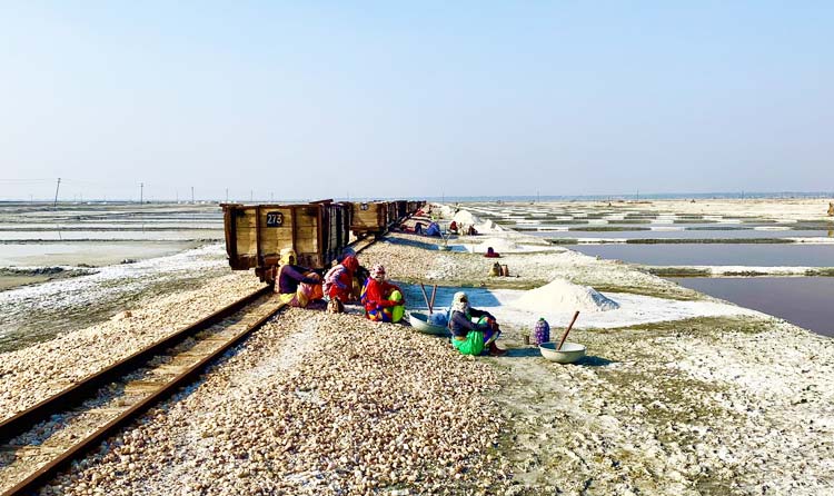 Day Trip to Sambhar Lake from Jaipur