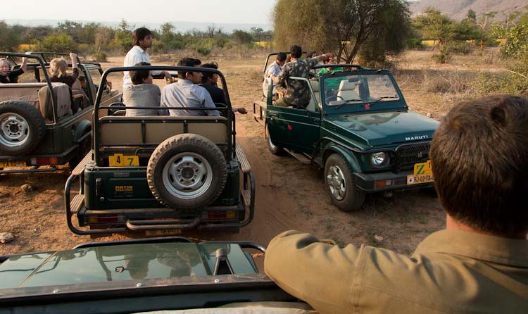 Jaipur To Sariska Day Trip