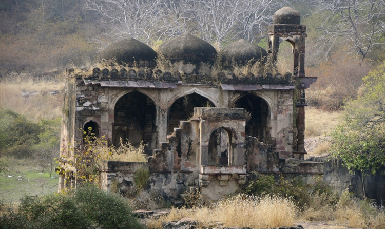 Ranthambore