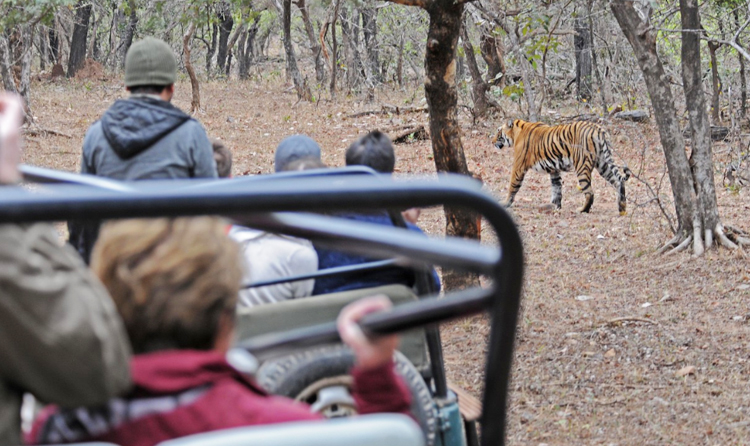 Ranthambore