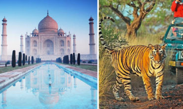 Golden Triangle Tour with Ranthambore